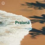 15. playlist editorial spotify praiana