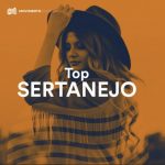 34. playlist top sertanejo